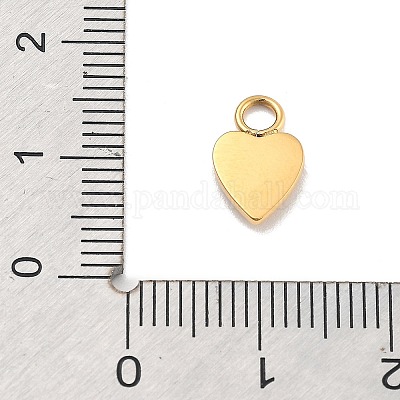 Ионное покрытие (ip) подвески из нержавеющей стали 304 STAS-P379-25G-1