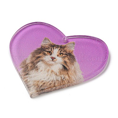 Акриловые подвески&nbsp;FIND-Z012-01B-1