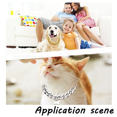 Dog chain collar necklace hot sale