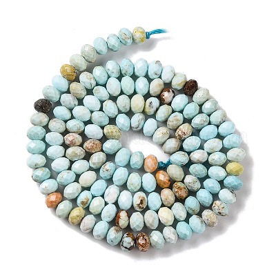 Природные Говлит бисер нитей G-H025-03C-09-1