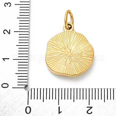 Подвески из нержавеющей стали 304 с эмалью STAS-I331-06G-1