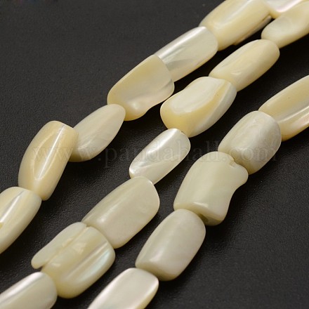 Rectangle spirale naturelle perles de coquillage brins SHEL-E355-01-1