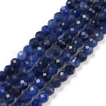 Natural Sodalite Beads Strands G-C009-A07-1