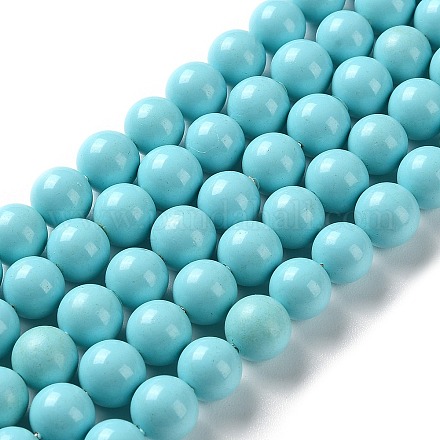 Chapelets de perles de coquille SP8MM245-1