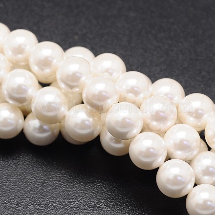 Shell Pearl Beads Strands BSHE-E008-6mm-12-1