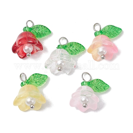 Perles de verre de couleurs mélangées et breloques en acrylique PALLOY-JF02567-01-1