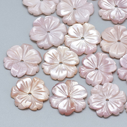 Perles roses shell SSHEL-S260-092A-1