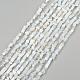 Chip Opalite Beads Strands G-N0134-15-4
