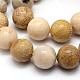 Brins de perles rondes de corail fossile naturel G-L312-07-2