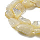 Shell normal de perles blanches de brins SSHEL-H072-15-3