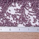 Perline miyuki delica piccole X-SEED-J020-DBS0265-4