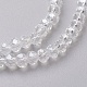 Electroplate Glass Beads Strands EGLA-F124-FR-B11-3