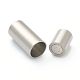 304 Stainless Steel Magnetic Clasps with Glue-in Ends STAS-B017-01D-P-2