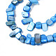 Fili di perle di conchiglia trochid naturale / trochus SHEL-S258-082-4