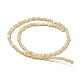Brins de perles de coquillages naturels de troca SSHEL-H072-13A-2