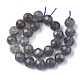 Natural Labradorite Beads Strands G-S345-10mm-005-2