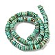 Natural Turquoise Beads Strands G-P506-05B-3