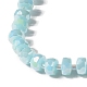Chapelets de perles en verre GLAA-G097-05B-3