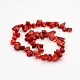 Dyed Synthetical Red Coral Bead Strands G-J278-15-2