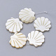 Shell perle naturali di acqua dolce SHEL-T007-04-1