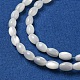 Brins de perles de coquillages naturels de troca SSHEL-H072-02A-3