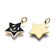 316 Surgical Stainless Steel Enamel Charms STAS-S116-373G-2