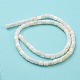 Natural Freshwater Shell Beads Strands SHEL-F008-04A-3