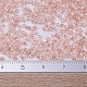 MIYUKI Delica Beads Small X-SEED-J020-DBS0106-4