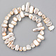 Spray Painted Natural Freshwater Shell Beads Strands SHEL-S276-89C-2