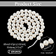 Shell normal de perles blanches de brins SHEL-WH0001-009A-3